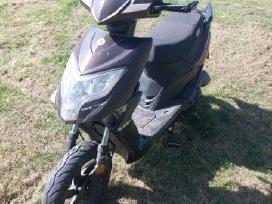 Motoroleris