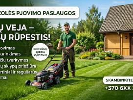 Smulkus remonto darbai, žolės pjovimas