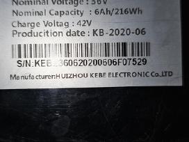 Paspirtuko baterija 36v