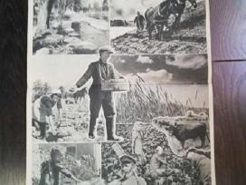 Ww2 plakatas