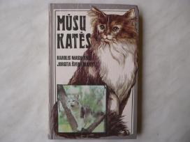 K. Masilionis - Mūsų katės