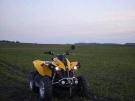 Can am renegade g1, 800cc
