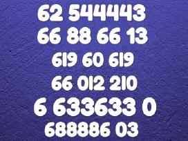 Gražus VIP numeris 688886 už 50€