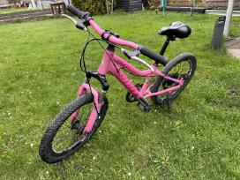 Vaikiškas dviratis Gust Frizzy 20'' Pink