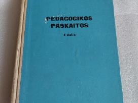 Pedagogikos paskaitos