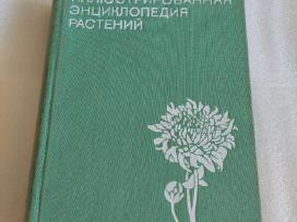 Иллюстрированная энциклопедия растений