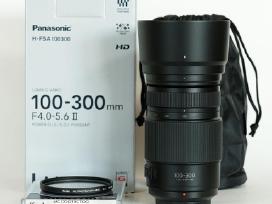 Panasonic Lumix G Vario 100-300mm / F4.0-5.6
