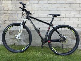 Kalnų dviratis White Comp 29" L dydis Shimano