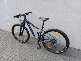 Cannondale Trail One