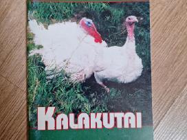 Kalakutai. Knyga
