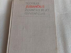 Žuvintas ir jo gyventojai