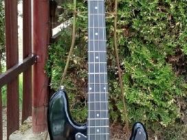 Bosine gitara