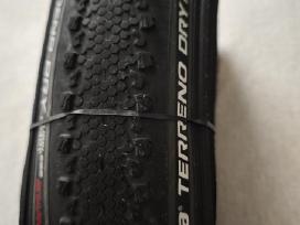 Vittoria Terreno Dry.
