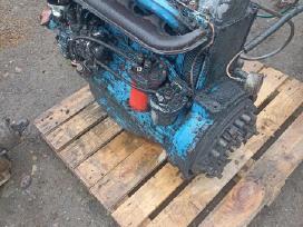 T40 dalimis