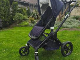 Bugaboo fox