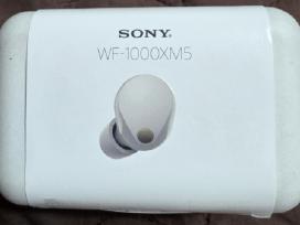 Ausinės Sony Wf-1000xm5 kreminės sp.