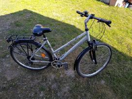 Panther Trekking 28ratai L dydis 50cm aliuminis