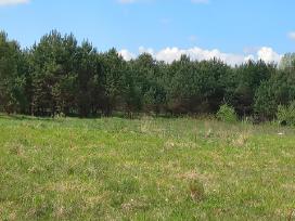 Pušynų apsuptyje, su tvenkiniu
