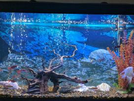 Akvariumas 200l + įranga