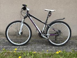 Dviratis Athena Xc3sport