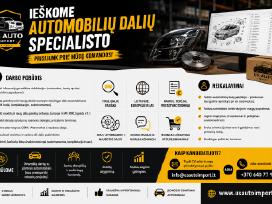 Reikalingas Detalistas (Automobilių Detalių Paiešk