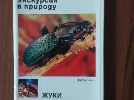 Atvirukų komplektas - Vabalai
