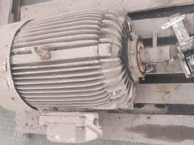 Elektros variklis 30 kw iš Loher Gmbh