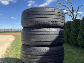 Pirelli