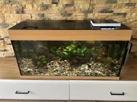 Akvariumas