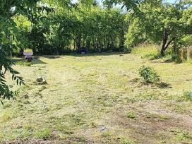 Parduodamas sklypas 6 a, Daubėnuose, Kretingos r.