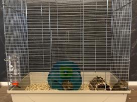 Dovanų du degu su iranga