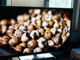 Panasonic Tx-p55st60e 140cm