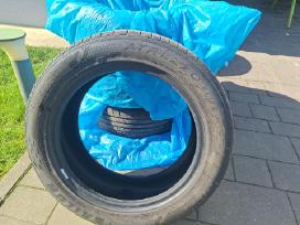 Padangos Sailun Atrezzo Elite 195/55r16