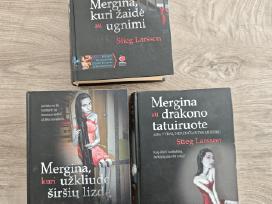 Mergina su drakono tatuiruote
