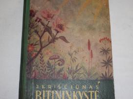 Bitininkystė J.kriščiūnas knyga 1961 m.