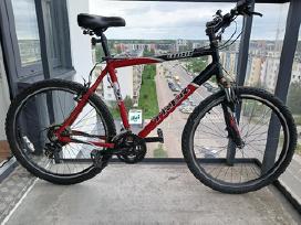 Dviratis Trek SL 4100
