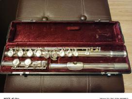 Fleita Jupiter Cs