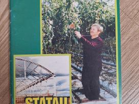 Statau šiltnamį