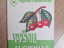 Vyšnių auginimas