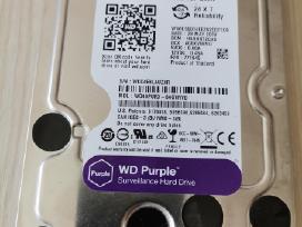4 TB Wd kietas diskas