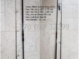 Daiwa Black Widow 366cm 3lbs karpinis kotas
