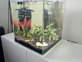 50ltr.akvariumas su žuvytėmis.