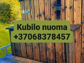 Kubilo nuoma