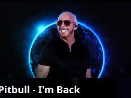 Pitbull bilietai