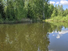 Parduodu žemės sklypą Širvintų raj.