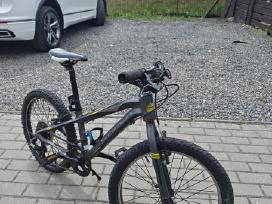 Puikus kalnų dviratis Orbea Mx 20 Dirt