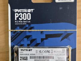 256 GB SSD Patriot
