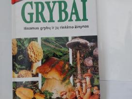 Knyga