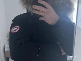 Canada goose striukė