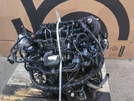Volvo C30 variklis D4164t dyzelinas 1600 cm³ 80 kw